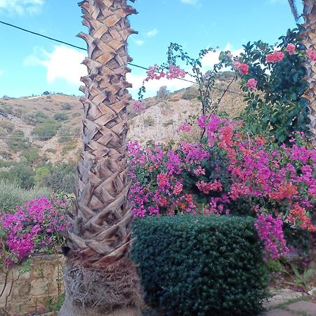 Heraklion Comfy House With Mountain View Heraklion (Crete) Exterior foto