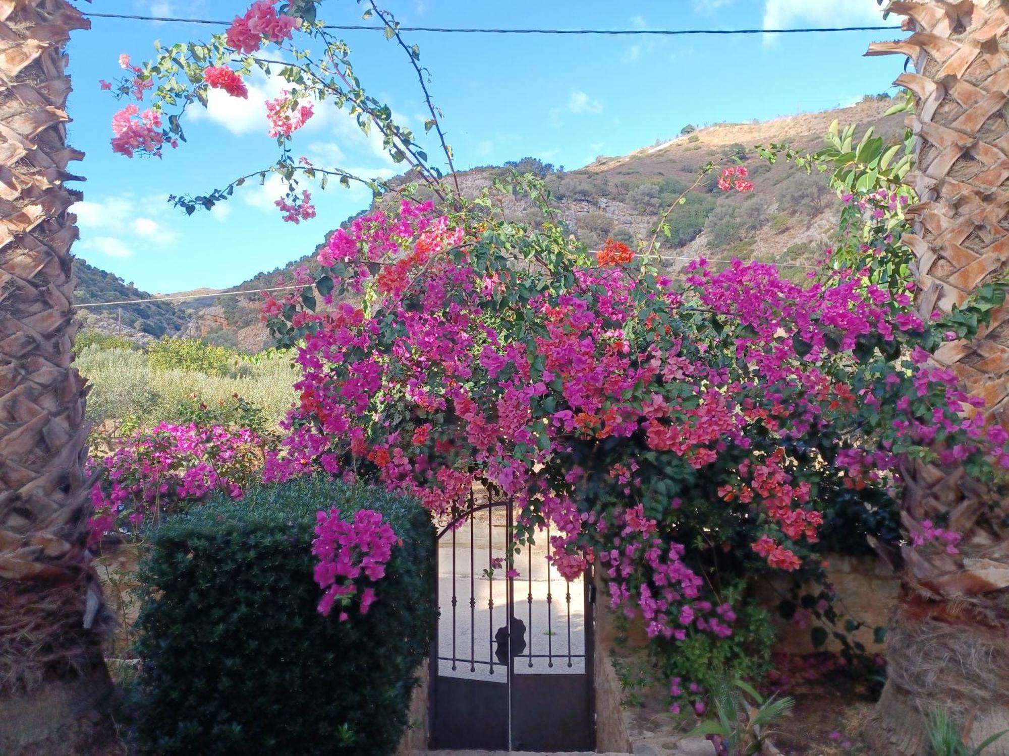 Heraklion Comfy House With Mountain View Heraklion (Crete) Exterior foto