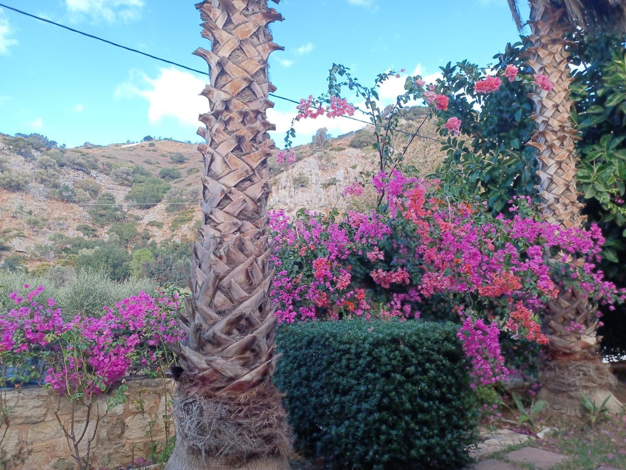 Heraklion Comfy House With Mountain View Heraklion (Crete) Exterior foto